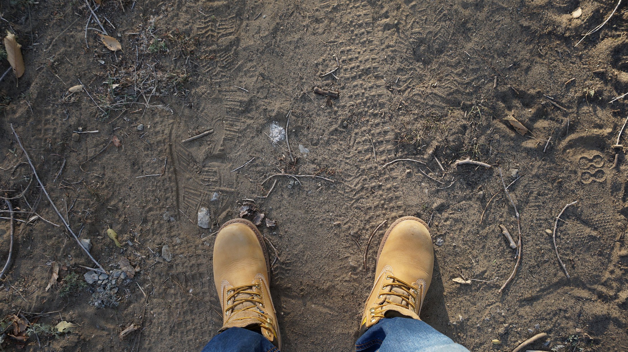 Person Wearing Brown Leather Work Boots